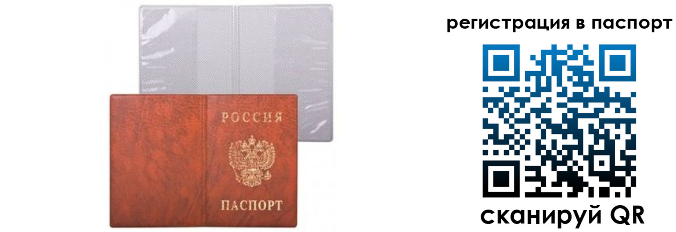 прописка ребенка в Алексеевке